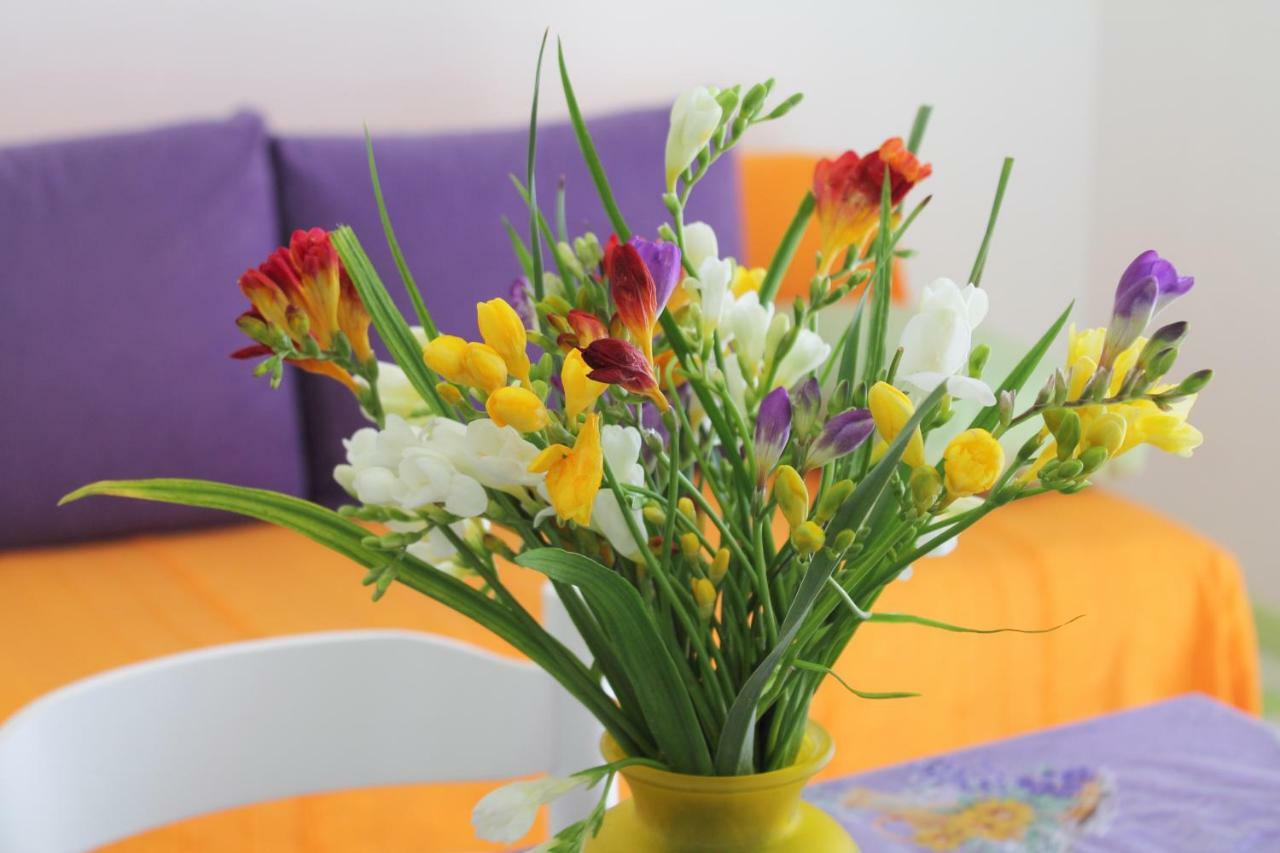 Apartments Nejasmic - Little House For Peaceful And Domestic Vacation Bol Kültér fotó