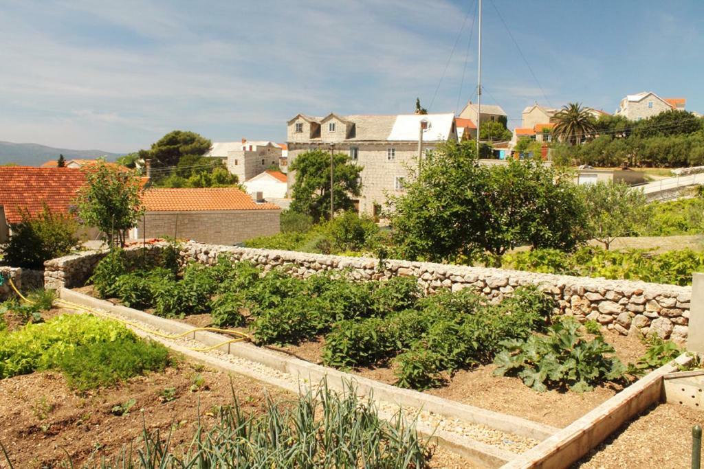 Apartments Nejasmic - Little House For Peaceful And Domestic Vacation Bol Kültér fotó